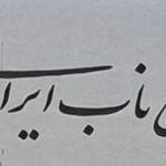 تهیه غذای آریایی