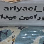 تهیه غذای آریایی