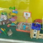 بازی فکری و تحریر آفرینش