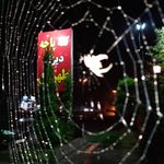 کله پزی و رستوران طهرون