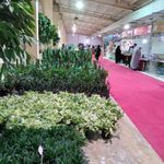 نمایشگاه بین المللی قشم