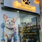 پت شاپ سزار