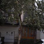 کالای ورزشی امیر