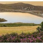 خانه اجاره ای لاله زار