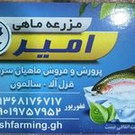 ماهی سرای امیر