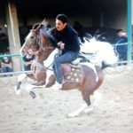 مجموعه سوارکاری جلال دری