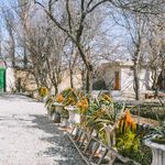 کباب سرای باغ آلبالو