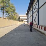 سمپاشی علیه حشرات و جانوران موذی