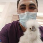 کلینیک تخصصی پرندگان رکس