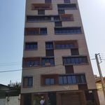 زیتون ۲