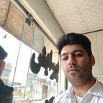پیرایش کاکتوس (غلامی)