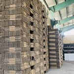 کارتن سازی رضایی