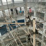 محمد امین امامی