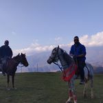 باشگاه سوار کاری مسیر کاج