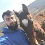 باشگاه سوار کاری مسیر کاج
