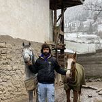 باشگاه سوار کاری مسیر کاج