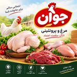 مرغ و پروتئینی جوان