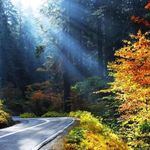 پارک جنگلی النگدره