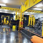 باشگاه ورزشی آدرینا نوین ( بانوان )