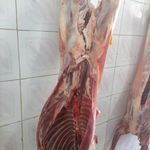 جگر سرای چرب و چیلی