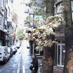 عینک طبی و آفتابی چشم افروز
