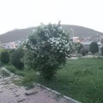 پارک تپه قاضی