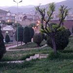 پارک تپه قاضی