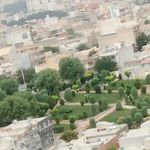 پارک تپه قاضی