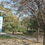 سرویس بهداشتی بوستان بهار