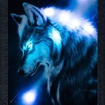 فروشگاه اسکای رز