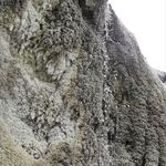 غار نمکی خرسین