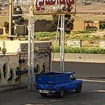 جوجه طلایی