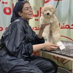 پت شاپ و آرایشگاه حیوانات مهندس گمشادزهی