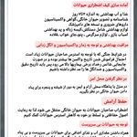 کلینیک دامپزشکی غزال