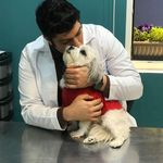 کلینیک دامپزشکی و پت شاپ گیلانا