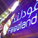 غذای سالم و گاهی ورته 