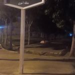 بوستان نرگس