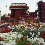گلخانه گلزار