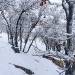 باغ میراسماعیلی