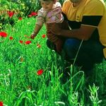 باغ میراسماعیلی