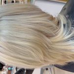 رنگ و لایت ژیلا امیری