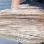 رنگ و لایت ژیلا امیری