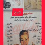 فست فود شوخ