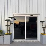 فروش گياه گلخانه زيتون