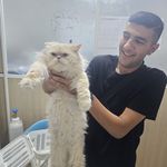 حسین سام کن