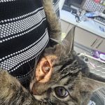 حسین سام کن