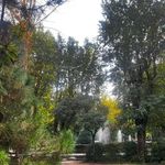 سرویس بهداشتی بوستان گلبرگ