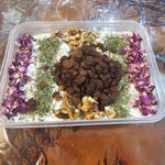 مستر دیزی