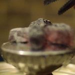 کافه رستوران درویش