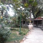 رستوران باغ گلستان